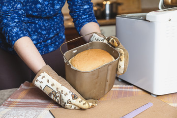 Appetizing fresh loaf of bread in form of baking bread