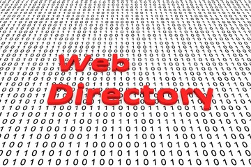 Web directory in the form of binary code, 3D illustration