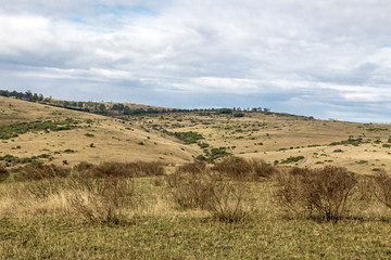 Rural Dry Winter Vegetation  Blue Cloudy Sky Wilderness Landscape