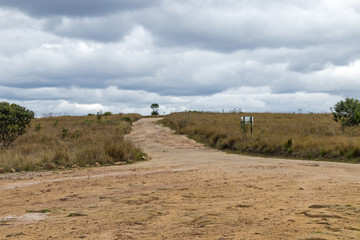 Fototapeta na wymiar Empty Rural Dirt Road Leading Through Dry Winter Grassland