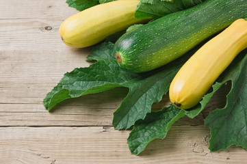 zucchini with leaves