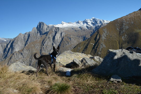 Bernina Group