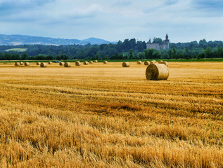 Rivalta Trebbia (Piacenza), landscape with the castle