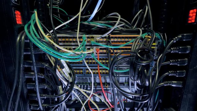 Surge protected data center cabinet with switches.