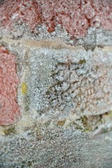 Old brick wall in frost. Pushkin, Tsarskoe Selo