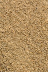 Background of sand grains in big close up