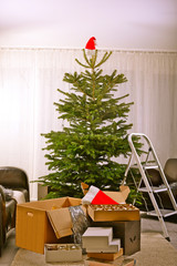 Weihnachtsbaum vor der Dekoration mit Santa-Hut