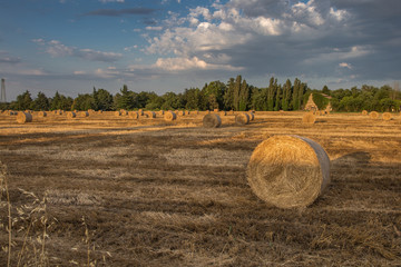 Naklejka na ściany i meble Beautiful Countryside Landscape: Golden Hay Bales in Harvested Fields and Blue Sky with Clouds
