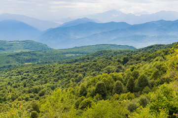 Mountain forest landscape at the foot of the Caucasus Mountains, Adygea, Russia