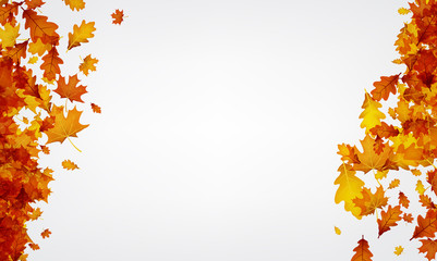 Autumn background with orange leaves.