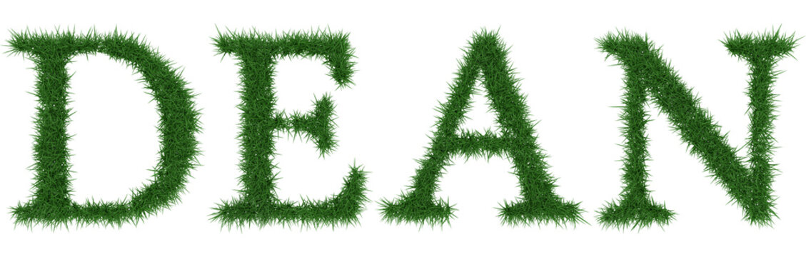 Dean - 3D Rendering Fresh Grass Letters Isolated On Whhite Background.