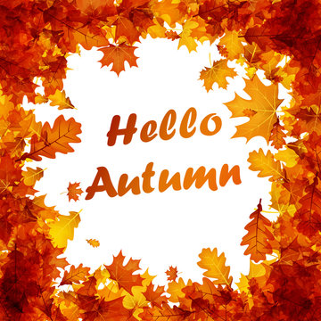 Hello autumn card with orange leaves.
