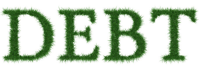 Debt - 3D rendering fresh Grass letters isolated on whhite background.