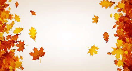 Obraz premium Autumn background with orange leaves.