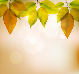 Background of yelow leaves, autumn season. Vector illustration.EPS10