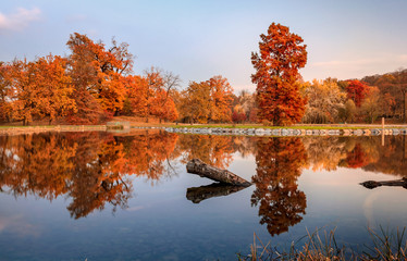 Autumn in Stormovka park, Prague