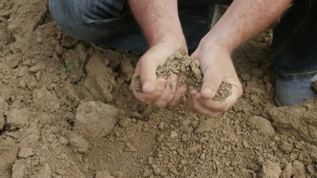 Close-up of farmer's hands holding dried soil