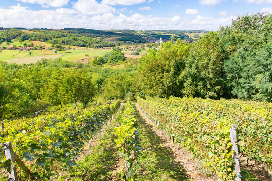 Kroatien, Bjelovarsko-bilogorska županija, &Scaron;androvac, Blick vom Weingarten auf das Dorf Sandrovac in der Region Bjelovar