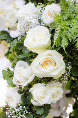 White roses