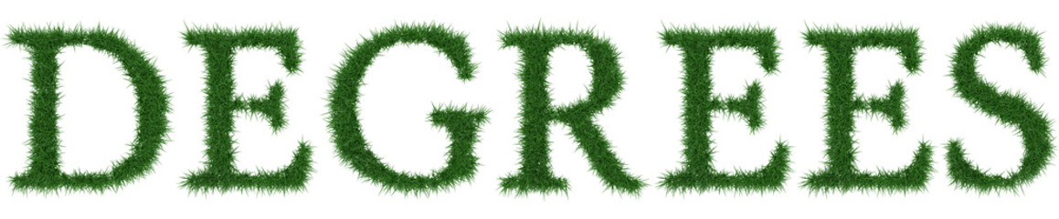 Degrees - 3D rendering fresh Grass letters isolated on whhite background.