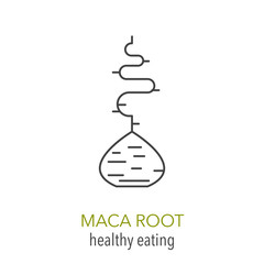 Maca root. Vector line icon.