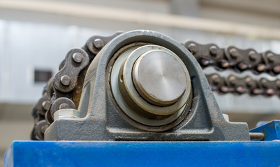 Bearing and chain transmission