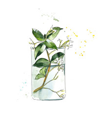 Plant in a transparent flask. Science. Studying. Phytotherapy. Watercolor hand drawn illustration