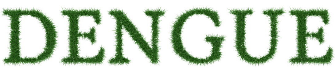 Dengue - 3D rendering fresh Grass letters isolated on whhite background.