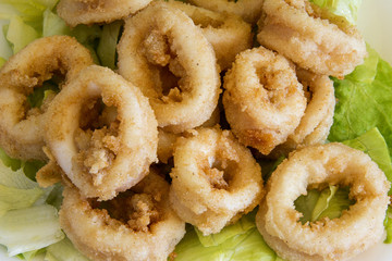 Fried calamari served on a plate.