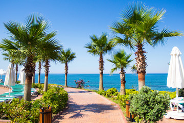 Fototapeta na wymiar summer vacation concept - promenade, with palms on the beach