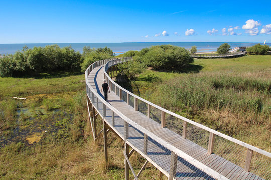 P&auml;rnu (Estonie) - Plate-forme d'observation et plage de P&auml;rnu / P&auml;rnu rannaniidu matkarada
