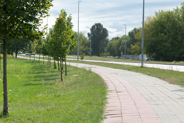 sidewalk with turning road and trees for background