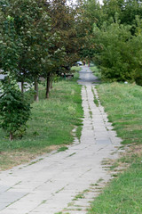 sidewalk along a street with trees for background