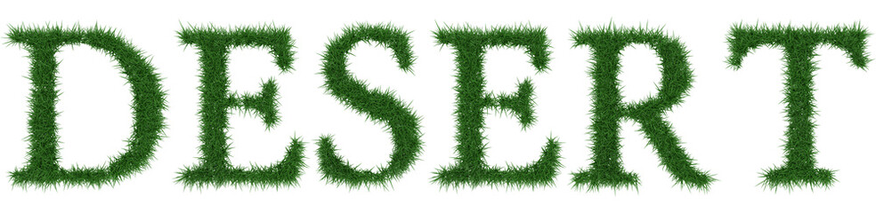 Desert - 3D rendering fresh Grass letters isolated on whhite background.