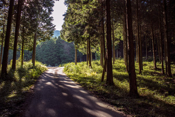 Obraz premium 到着・脱出のイメージ