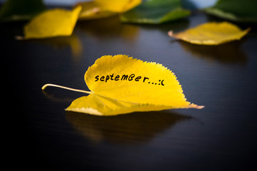 The concept of autumn