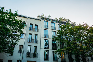 Fototapeta na wymiar modern apartment house with green tree