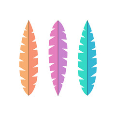 Colorful feathers vector illustration, set of feather icons isolated on white background.