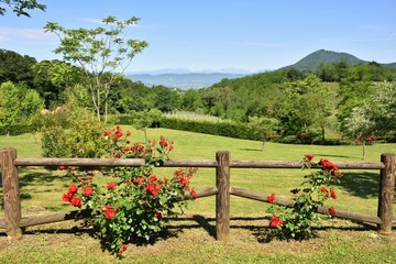 Paesaggio colli euganei padova