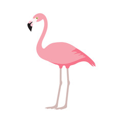 Fototapeta premium pink flamingo icon over white background