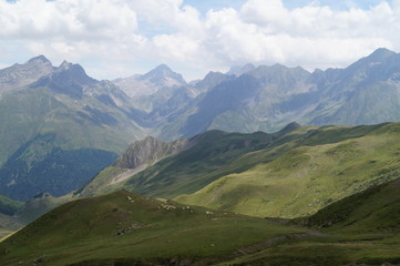 Fototapeta premium vaches, Pyrénées, montagne, Gabas, ossau, beauté, amour, animaux
