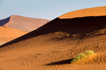 Namibia, Namib desert dunes at sunset, Africa