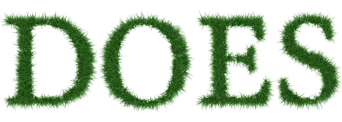 Does - 3D rendering fresh Grass letters isolated on whhite background.