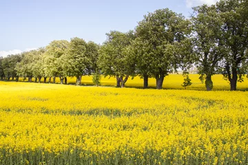  zacht landschap © Mats