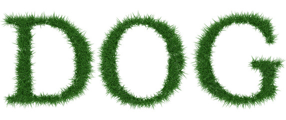 Dog - 3D rendering fresh Grass letters isolated on whhite background.