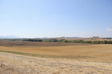 Obraz premium Pianura Toscana