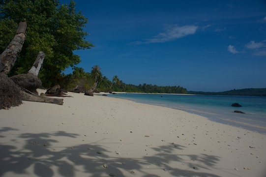 Spiaggia Tropicale