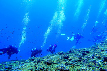 Fototapeta na wymiar 宮古島の海中を泳ぐダイバー