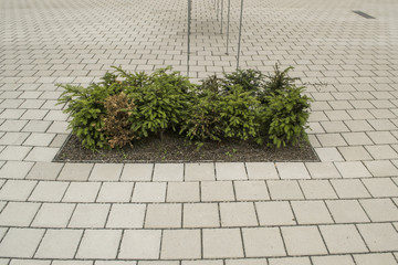 Busch Beton Stadt Straße