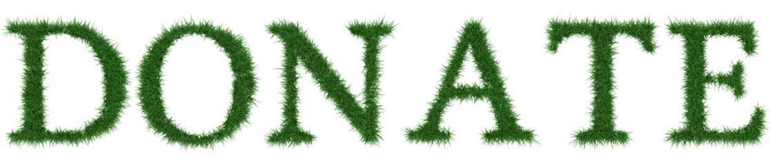 Donate - 3D rendering fresh Grass letters isolated on whhite background.